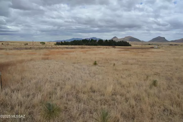 Elgin, AZ 85611,TBD Lower Elgin Road