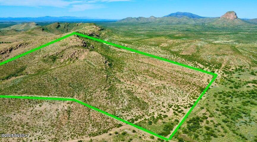 TBD N Morning Star Trl 41.95 Acres  #2, Douglas, AZ 85607