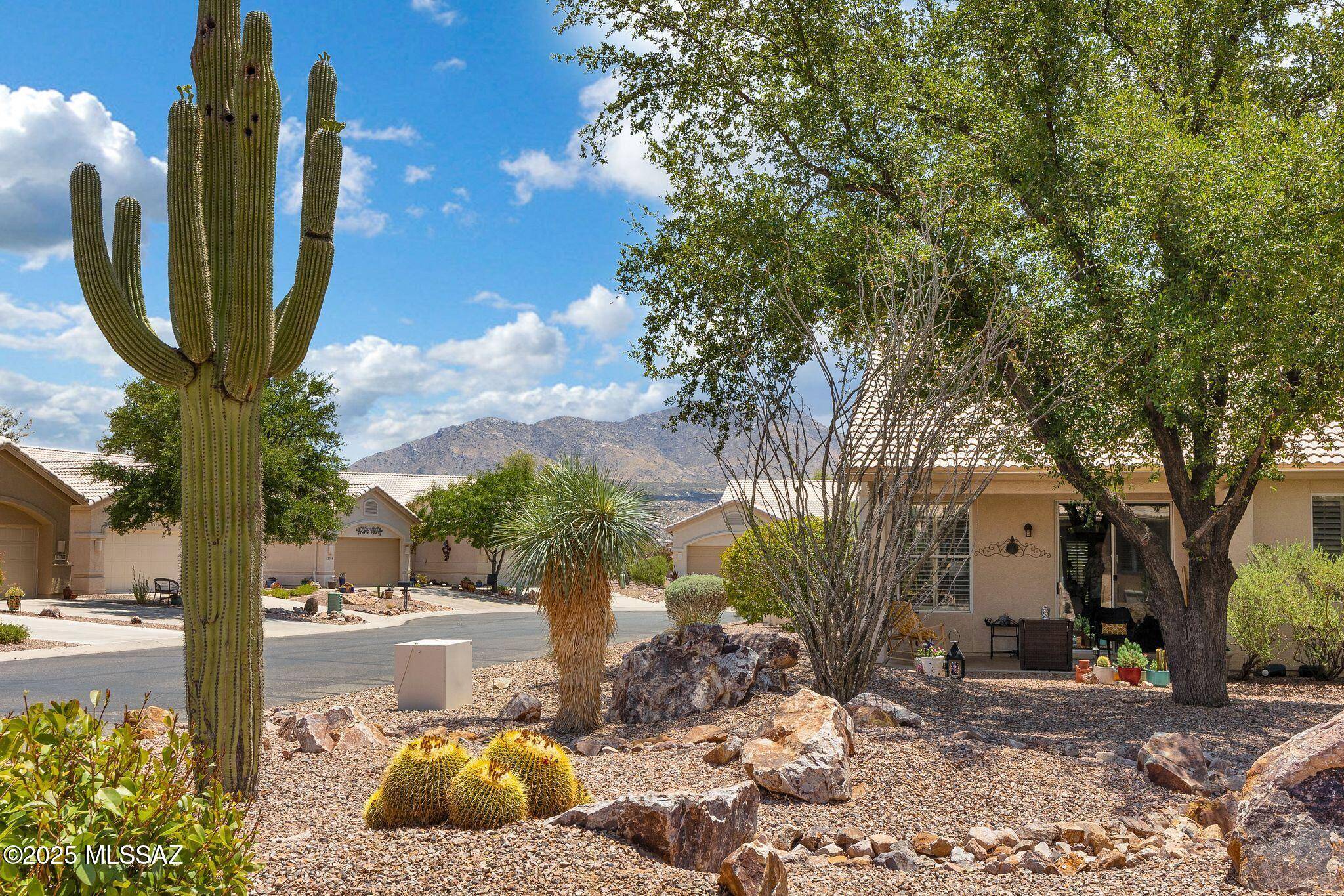 Tucson, AZ 85739,38871 S Carefree Drive