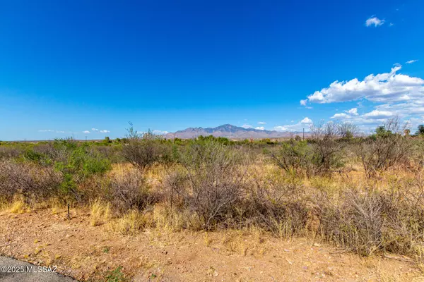 Tubac, AZ 85646,Circulo Bautista Road #4
