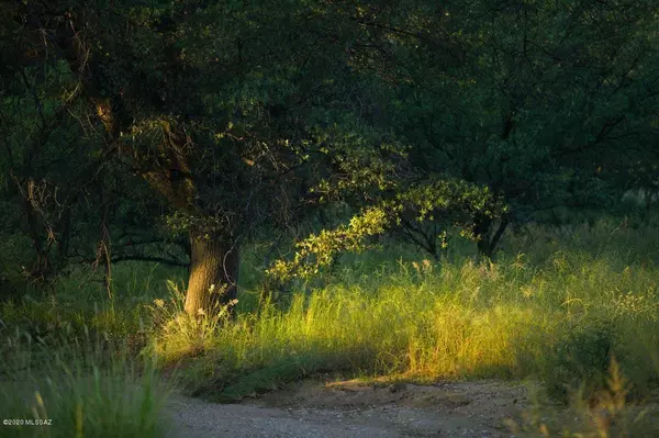 Patagonia, AZ 85624,880 Side Oats Lane #190