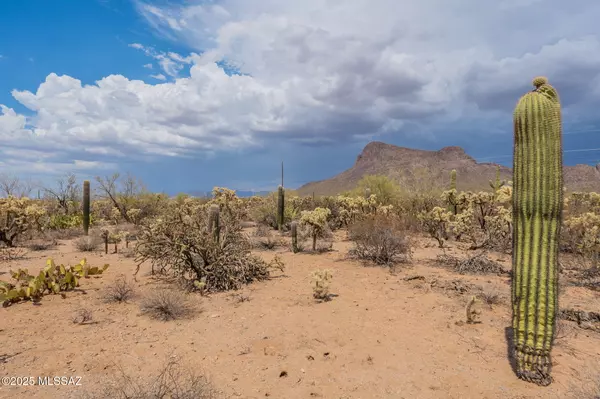 Tucson, AZ 85743,7305 N Van Ark Road #5/E