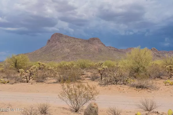 Tucson, AZ 85743,7305 N Van Ark Road #5