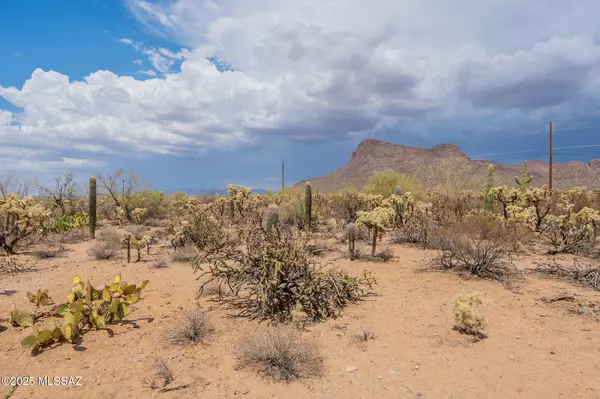 Tucson, AZ 85743,7305 N Van Ark Road #5