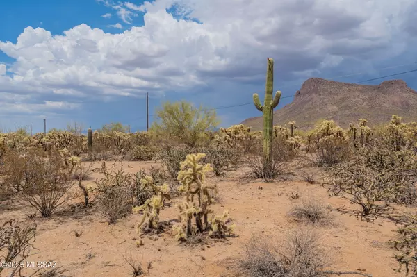 Tucson, AZ 85743,7305 N Van Ark Road #5/E