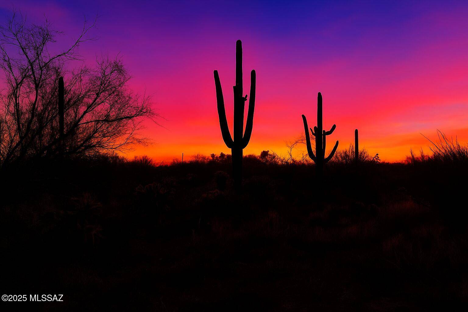 Tucson, AZ 85749,4503 Larkspur Road #0