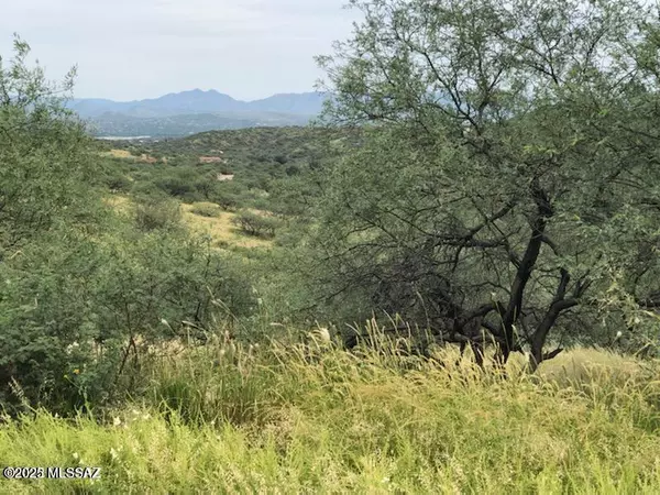 Rio Rico, AZ 85648,673 Fog Lane #26