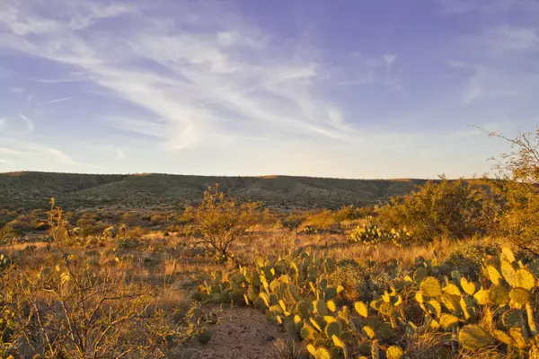 Tucson, AZ 85739,0 E Calle Rosa Linda  #2