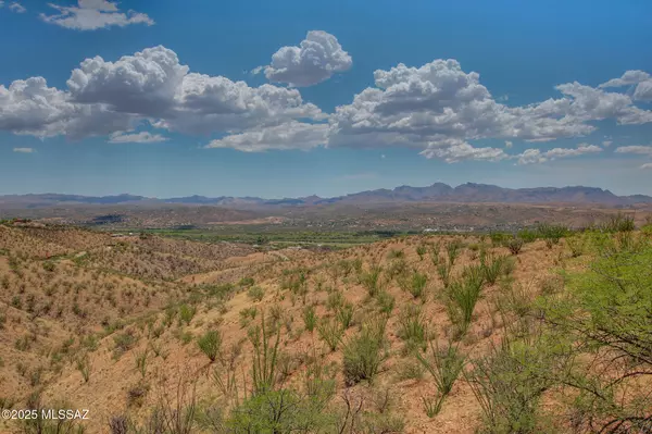 Rio Rico, AZ 85648,1348 Avenida Gutierrez  #62
