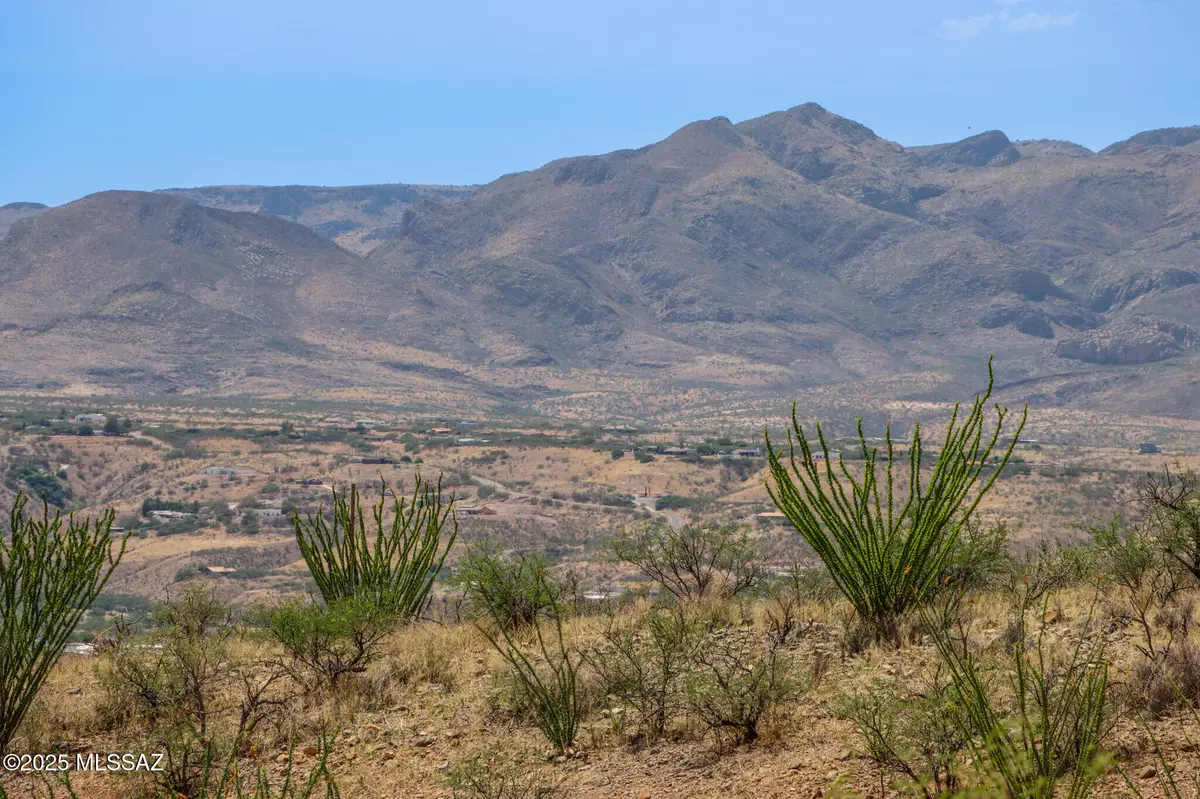 Rio Rico, AZ 85648,1348 Avenida Gutierrez  #62