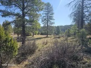 3326 Black Canyon Road, Heber-overgaard, AZ 85933