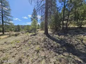Heber-overgaard, AZ 85933,3326 Black Canyon Road