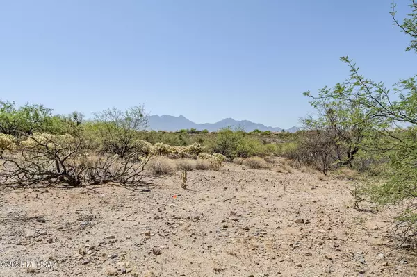 Green Valley, AZ 85614,771 E Vault Mine Court #181