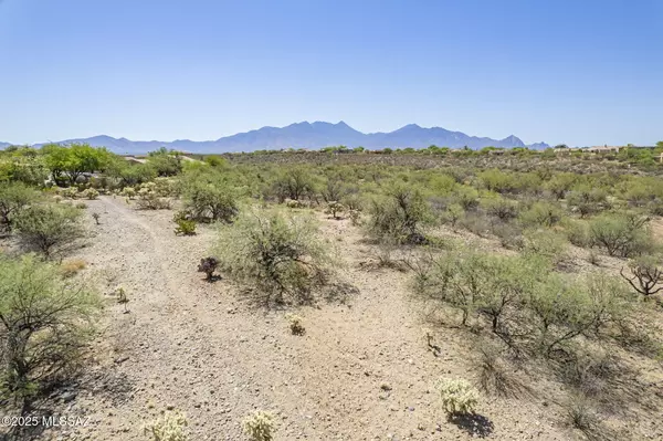 Green Valley, AZ 85614,771 E Vault Mine Court #181