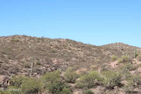 Oracle, AZ 85623,84449 E Rosendo Road #NA