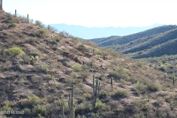 Oracle, AZ 85623,84449 E Rosendo Road #NA