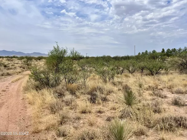 Benson, AZ 85602,TBD N Carina Circle #30