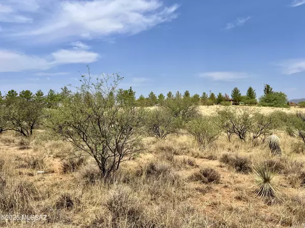 Benson, AZ 85602,TBD N Carina Circle #31