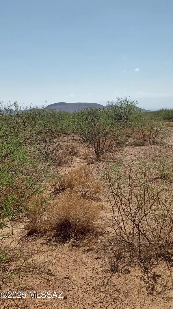 Pearce, AZ 85625,TBD Irwin Street #9&10