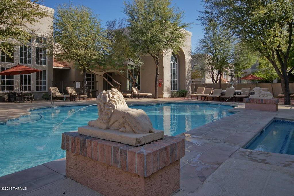 Oro Valley, AZ 85737,1500 E Pusch Wilderness Drive #3106
