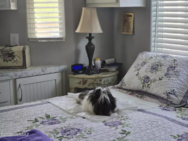 Benson, AZ 85602,251 S Ocotillo Avenue #28