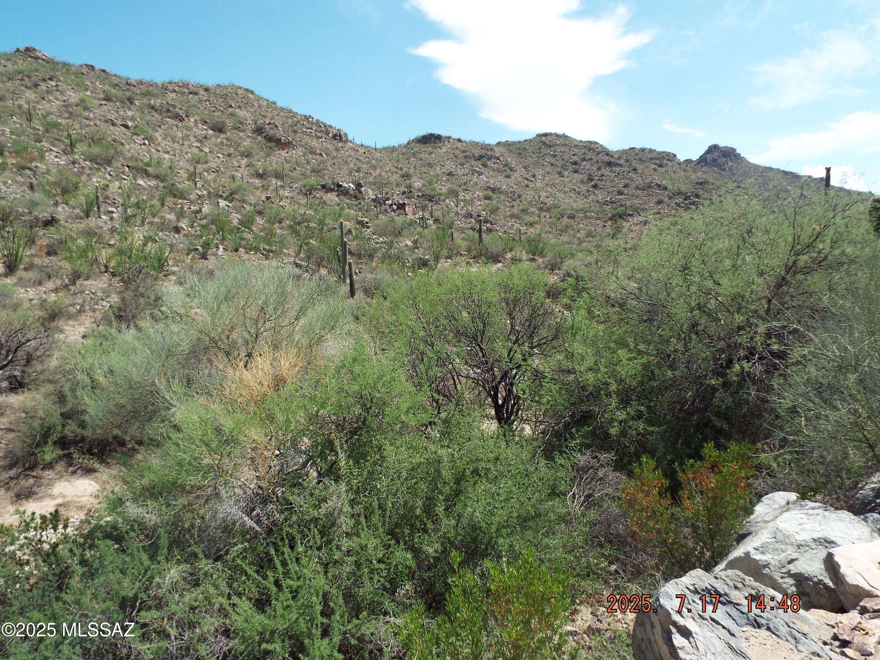 Marana, AZ 85658,3750 N Diamond Rock Place #169