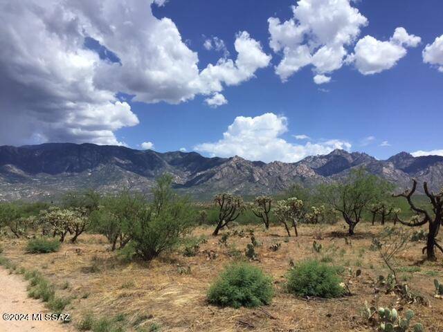 Catalina, AZ 85739,3615 E Rollins Road