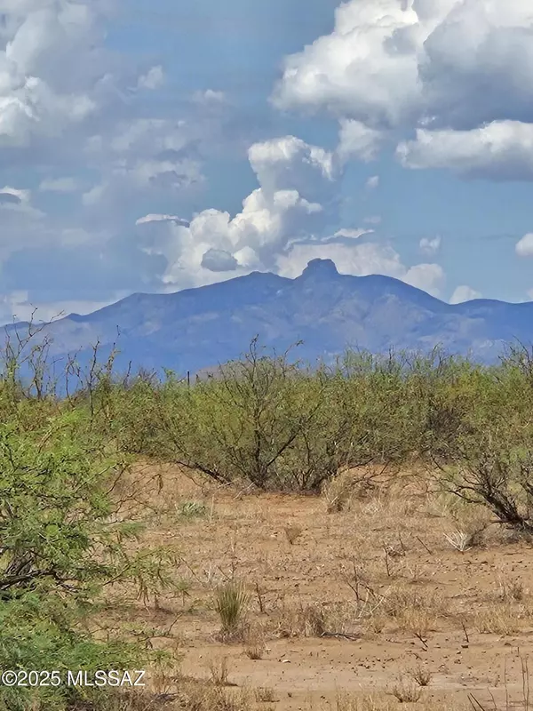 Pearce, AZ 85625,40 Acres S Desert Willow Road #49