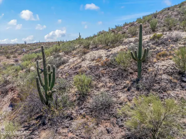 Tucson, AZ 85739,25310 S Enchanted Valley Road