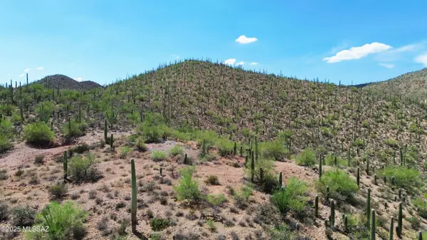 Tucson, AZ 85745,485 S Hotel Service Road #-