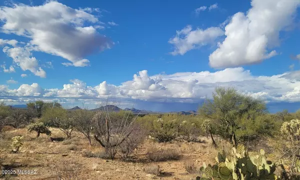 Tucson, AZ 85736,16252 W Pyle Road #106