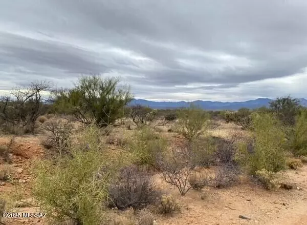 Tucson, AZ 85736,16252 W Pyle Road #106