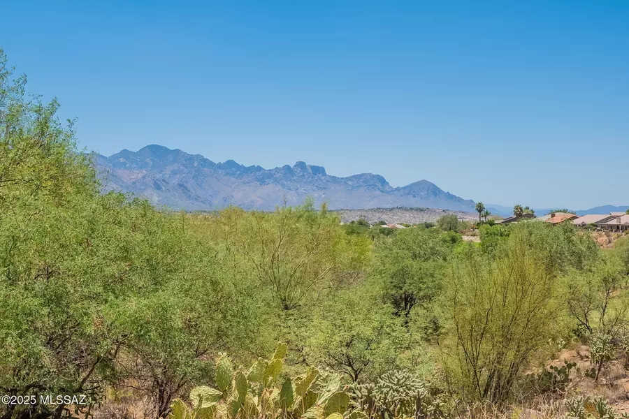 65873 E Desert Ridge Drive, Saddlebrooke, AZ 85739