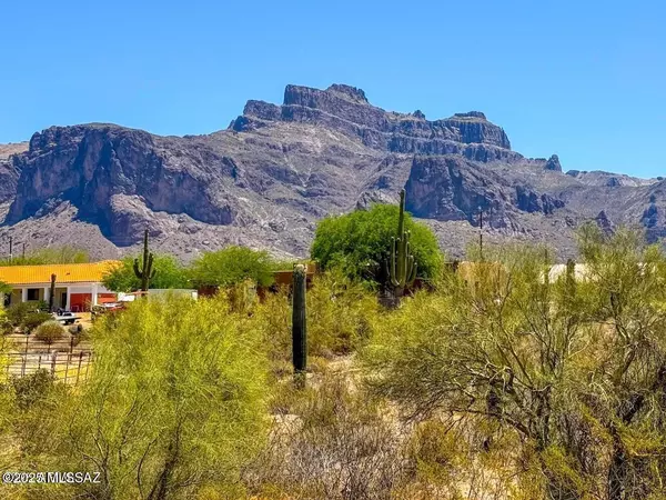 Apache Junction, AZ 85119,0 N Roadrunner Road