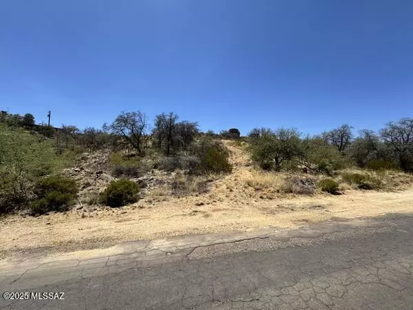 Oracle, AZ 85623,N Calle Futura (parcel 3)  #3