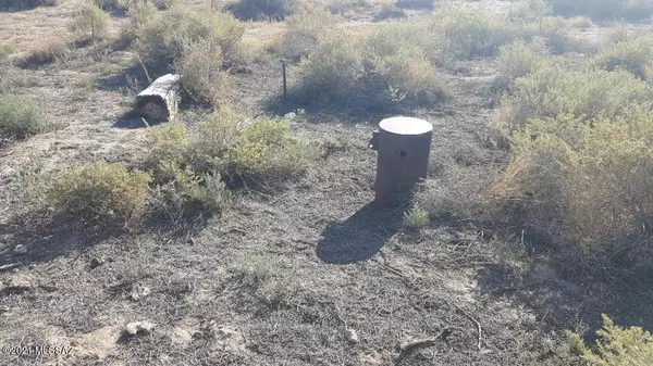 Willcox, AZ 85643,564 Acres Sulphur Springs Road