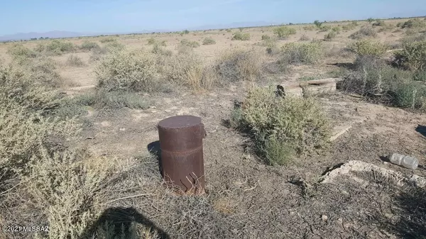 Willcox, AZ 85643,564 Acres Sulphur Springs Road