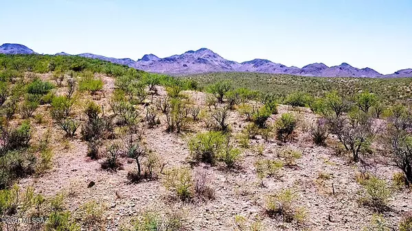 Tubac, AZ 85646,5 Vista De Torres Lane