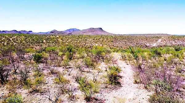 Tubac, AZ 85646,5 Vista De Torres Lane