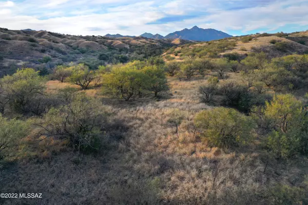 832 Side Oats Lane #195, Patagonia, AZ 85624