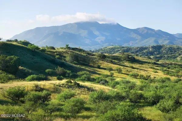 Patagonia, AZ 85624,832 Side Oats Lane #195