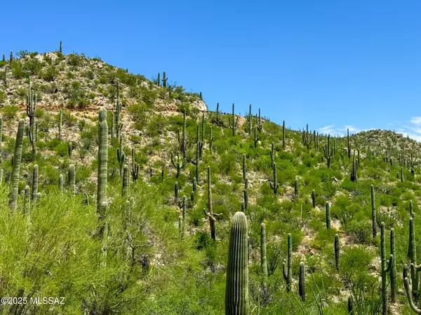 Tucson, AZ 85749,0 E REDINGTON RD  #-