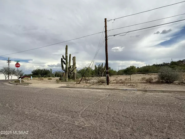 Tucson, AZ 85746,3902 S Mission Road #1