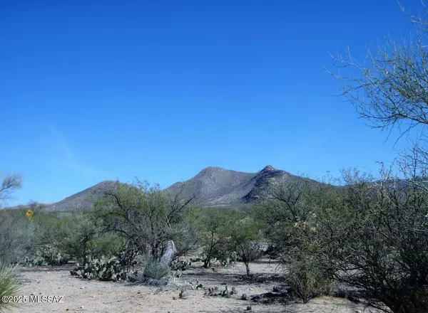 14XXX W Diamond Bell Rd Place #412, Tucson, AZ 85736