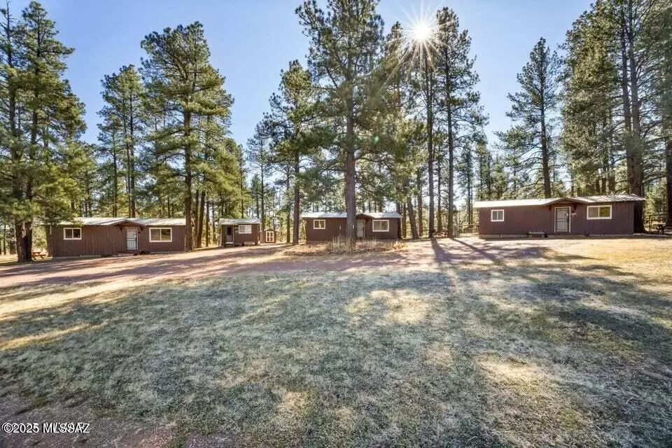 Alpine, AZ 85920,25327 Coronado Trail