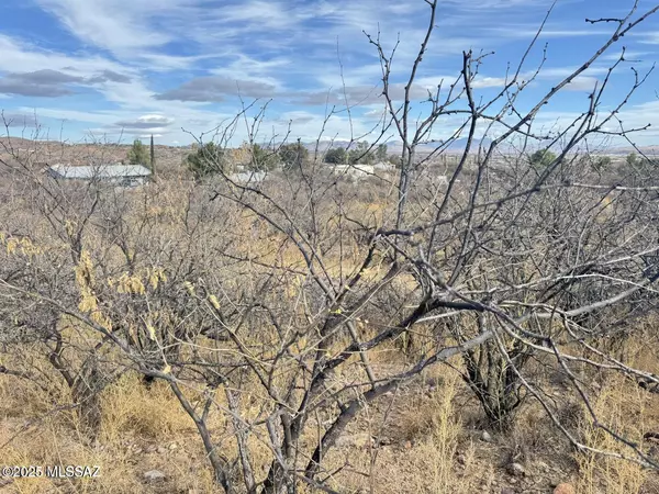 Rio Rico, AZ 85648,1241 Virgo Court #49