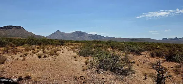 Douglas, AZ 85607,Lot 286 N Calle Del Prado