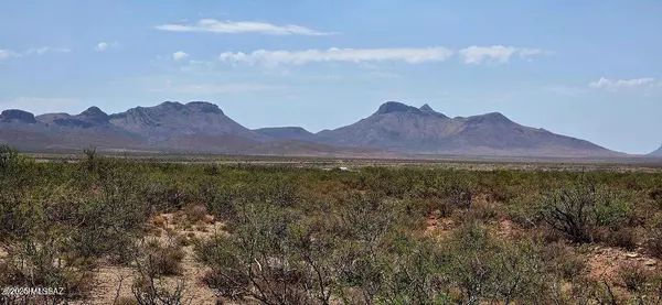 Douglas, AZ 85607,Lot 286 N Calle Del Prado