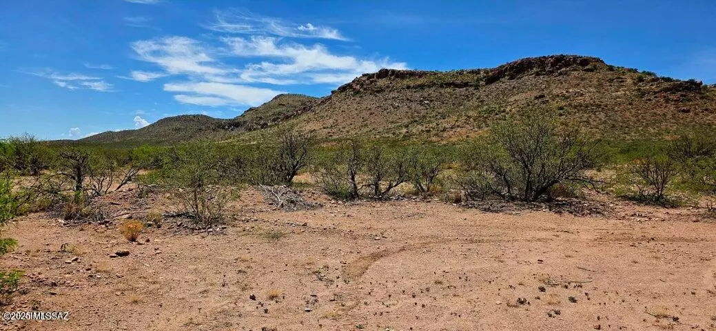 19.6 Acres N Bruno Road, Douglas, AZ 85607