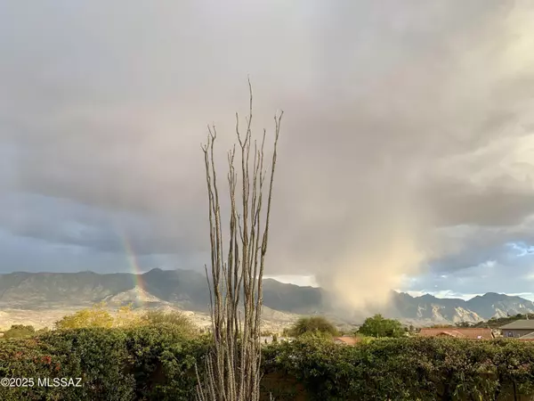 Saddlebrooke, AZ 85739,63719 E Whispering Tree Lane